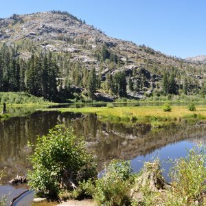 hiking-trail-lake-tahoe-300